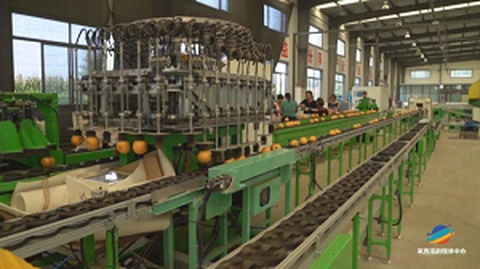 Prvi forum o poreklu standardizacije sadja