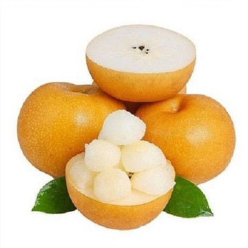 Azijska hruška Qiuyue